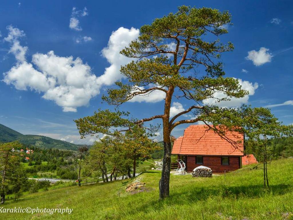 Cottage Vodice Zlatibor Extérieur photo