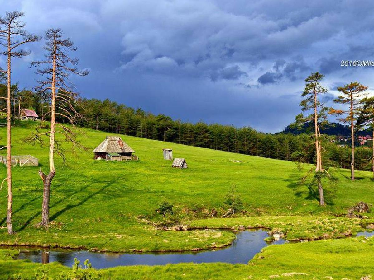 Cottage Vodice Zlatibor Extérieur photo